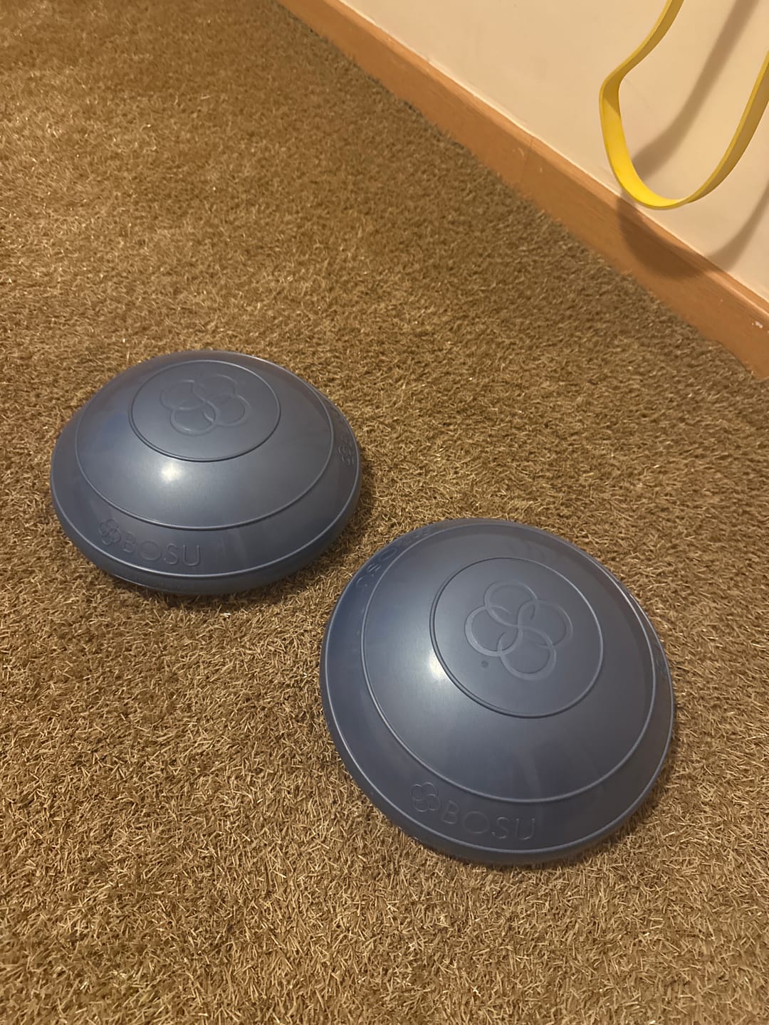 Customer photo review of Balance Pod XL