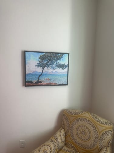 Customer photo review of The Estérel Mountains | Claude Monet | 1888