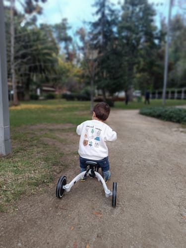 Customer photo review of Triciclo 4Trike  3 en 1 Gris - Kinderkraft