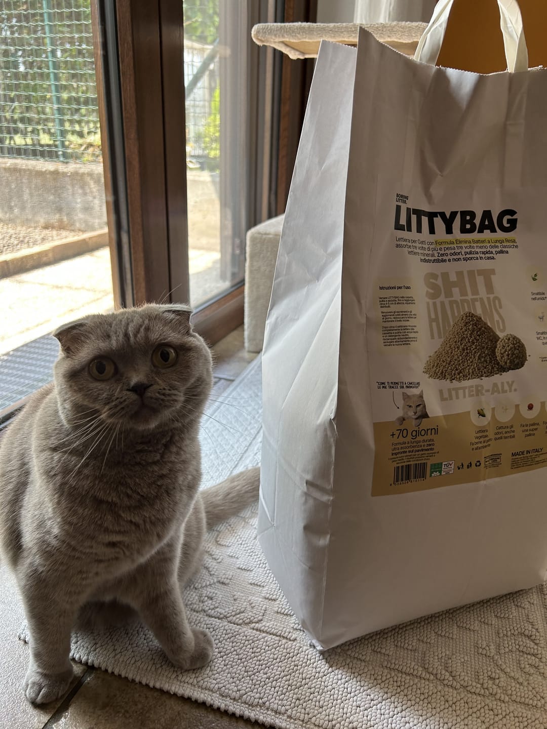 Customer photo review of LittyBag - La Prima Sabbietta Naturale a Clumping Superficiale