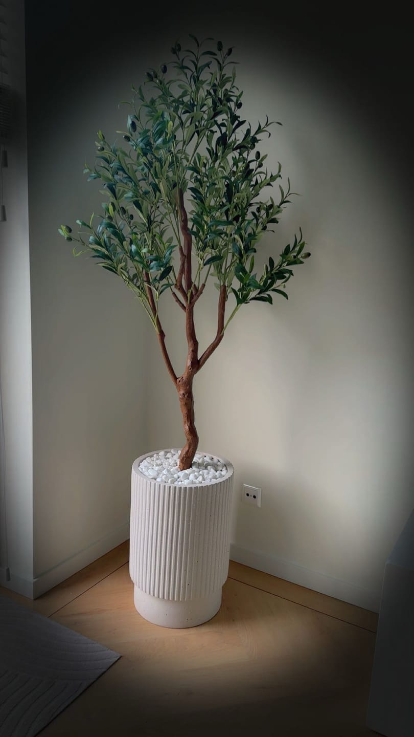 Customer photo review of Pre-order Kunst Olijfboom 150cm (eind mei)