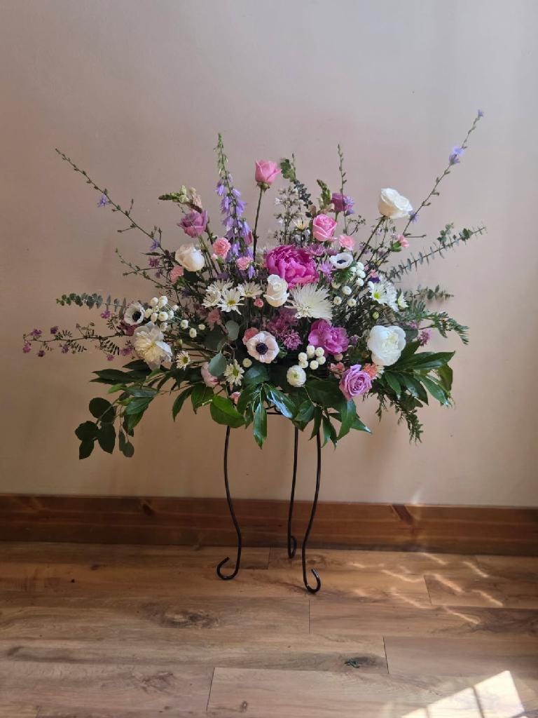 Customer photo review of White and Black Anemone