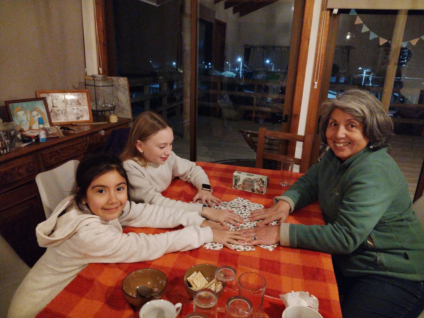 Customer photo review of Memorice Aves de Chile