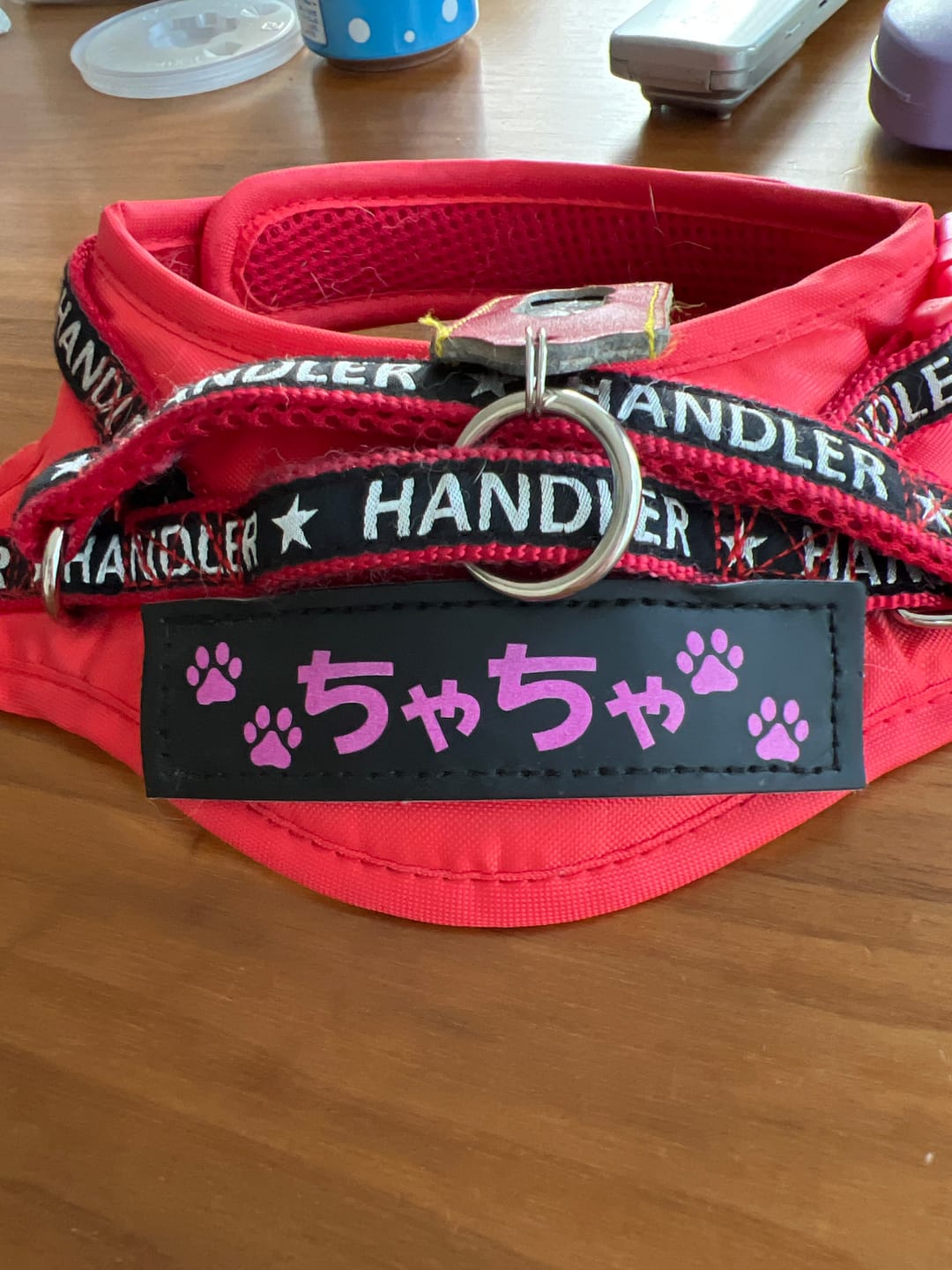Customer photo review of ハーネス専用お名前タグ（２枚セット・マジックテープ式）
