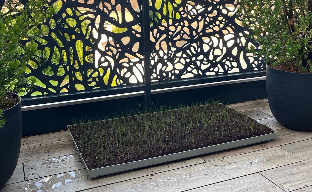 Customer photo review of BELAG Becken grau | Dänischer Flutbelag