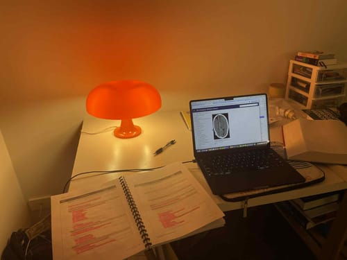 Customer photo review of Puffball Lamp | Blood Orange