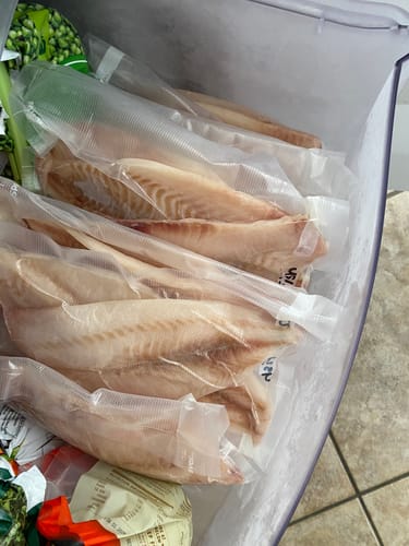 Customer photo review of 5KG Tarakihi Fillets Frozen (Skinned and Boned)
