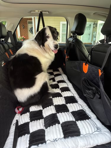Customer photo review of RuffRover 2.0™ - Hard Bottom Back Seat Extender + (FREE Dog Bed)