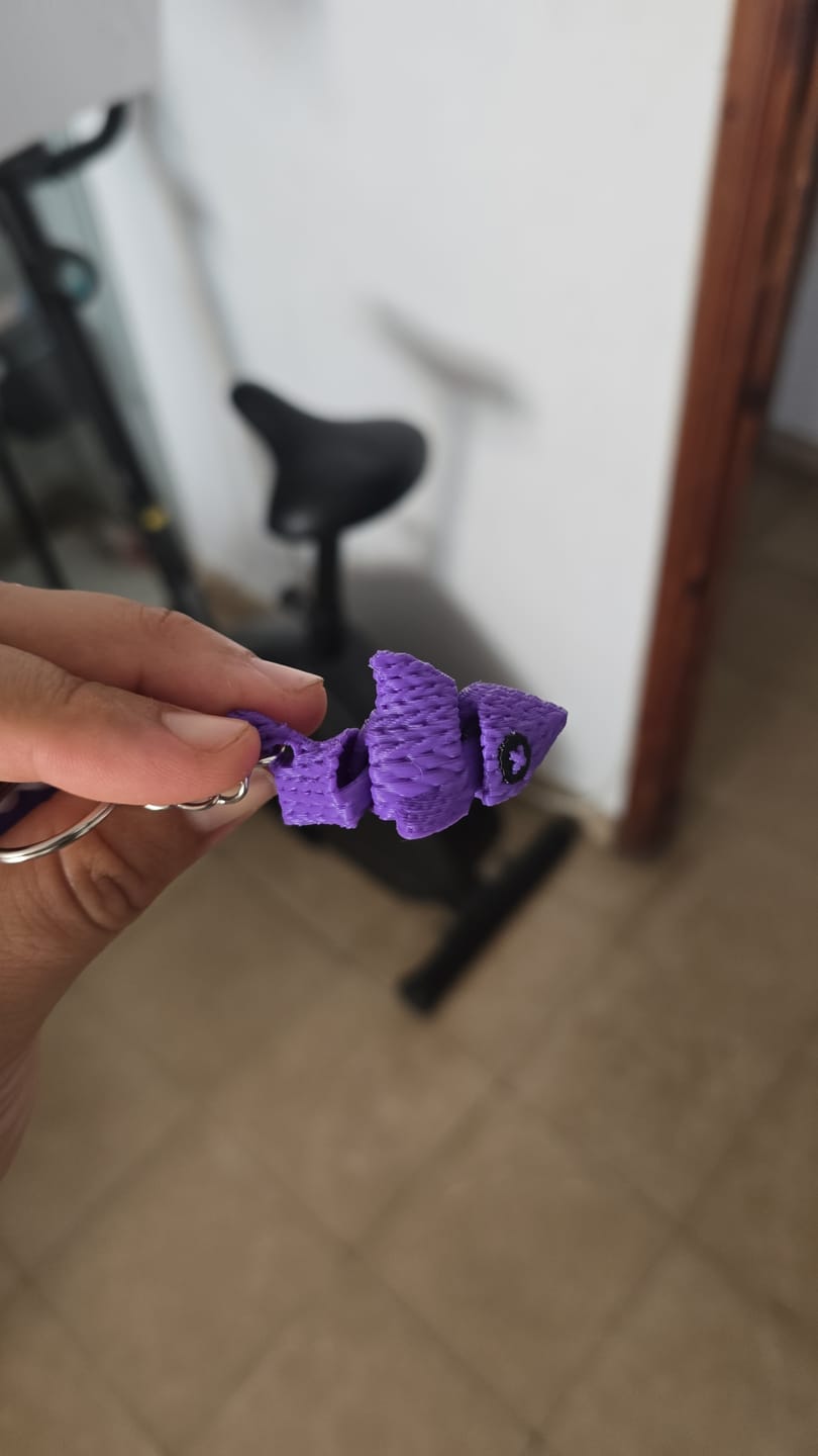 Customer photo review of PLA de alta velocidad