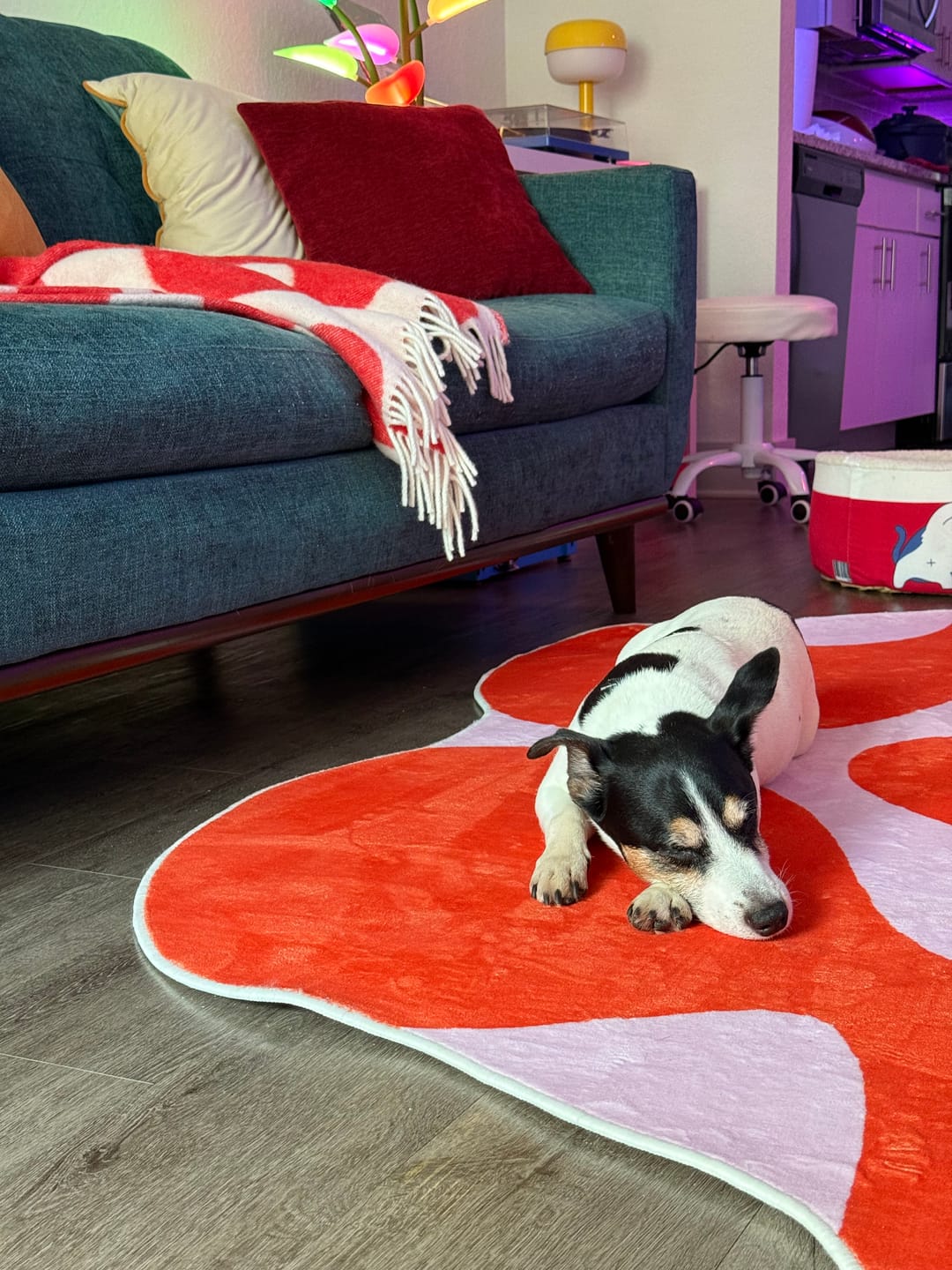 Customer photo review of Irregular Orange Moss Design Rug by Johann Banta