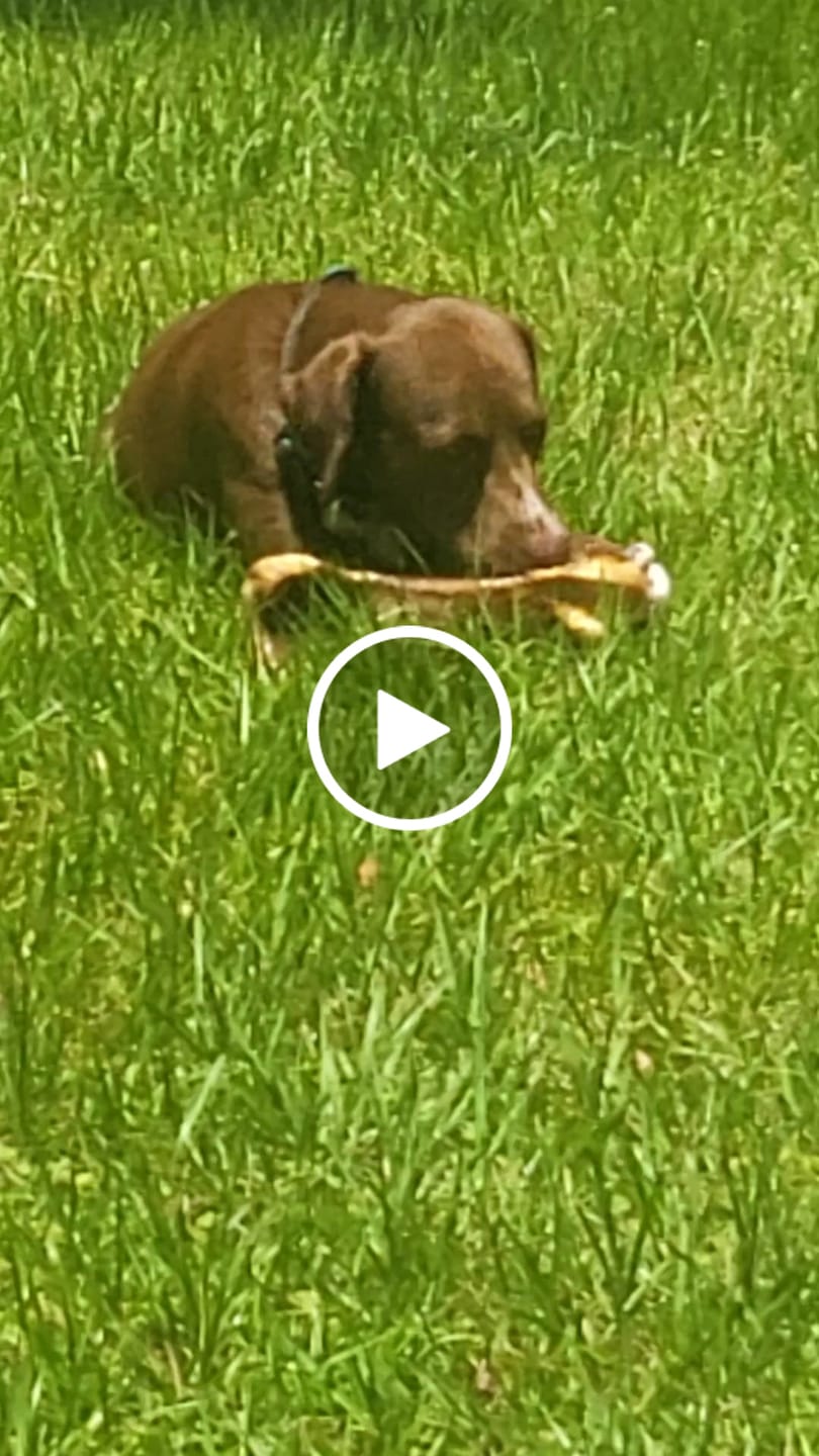 Customer video review of Mystery Gift