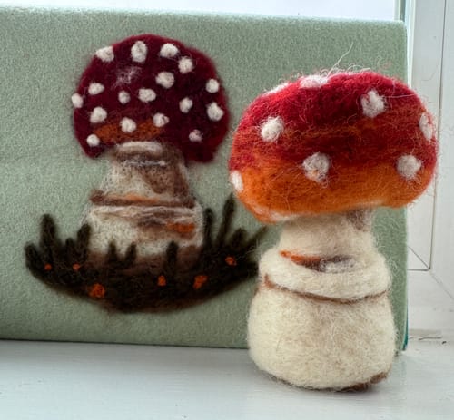 Customer photo review of Sophie Wheatley's Felted Fungi Supplies Box