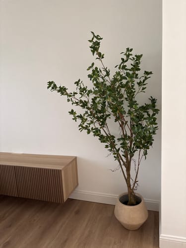 Customer photo review of Ficus Kunstplant 180cm