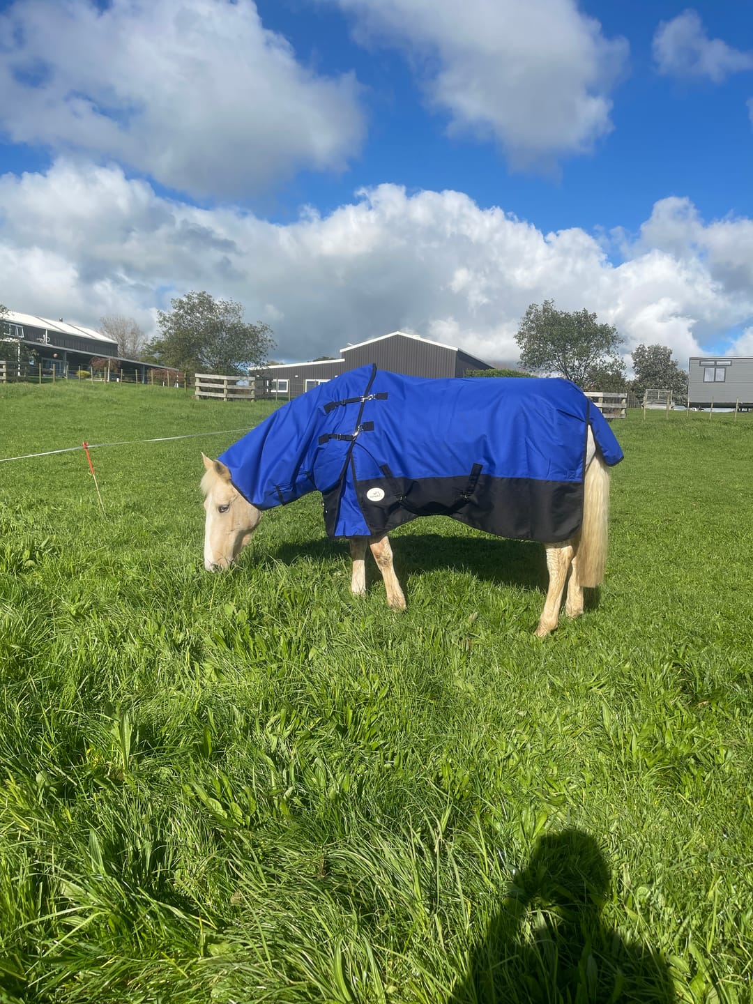 Customer photo review of Duke 1200d Detacha-neck