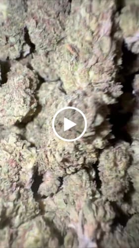 Customer video review of Exotic Shake