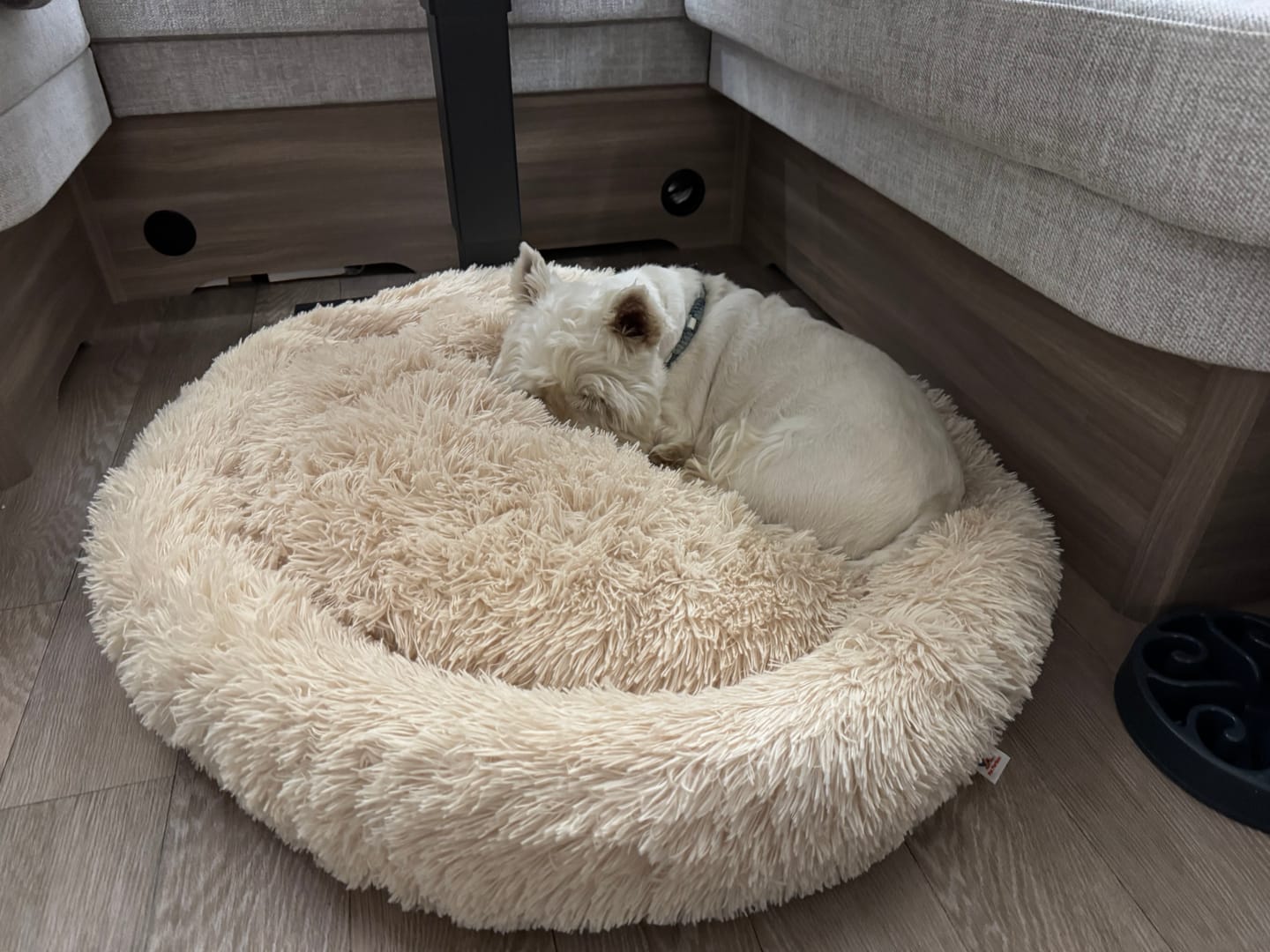 Customer photo review of Pet Perfect Donutmand