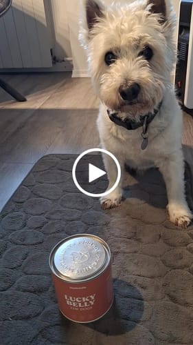 Customer video review of Lucky Belly