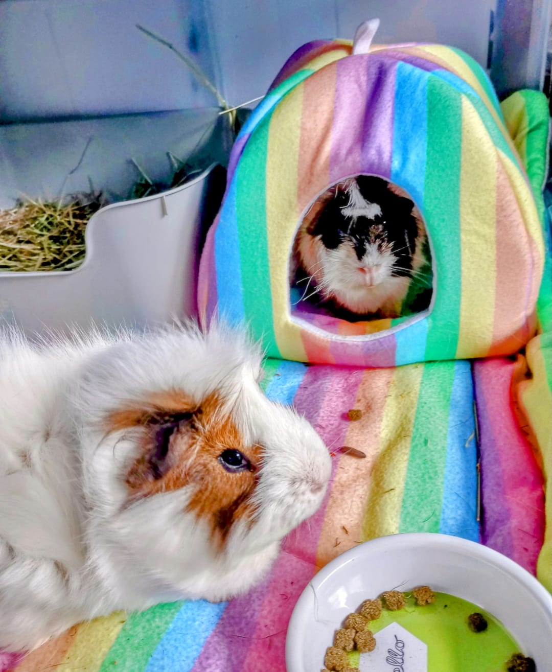 Customer photo review of Homely Fleece Hidey | Rainbow
