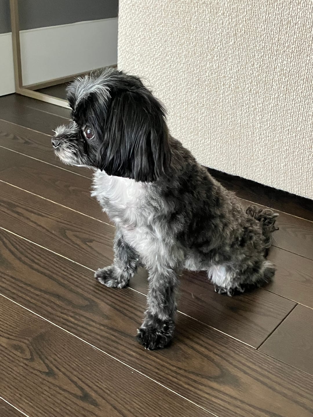 Customer photo review of Vrac Nature's Own - Batonnets oesophage de boeuf pour chien