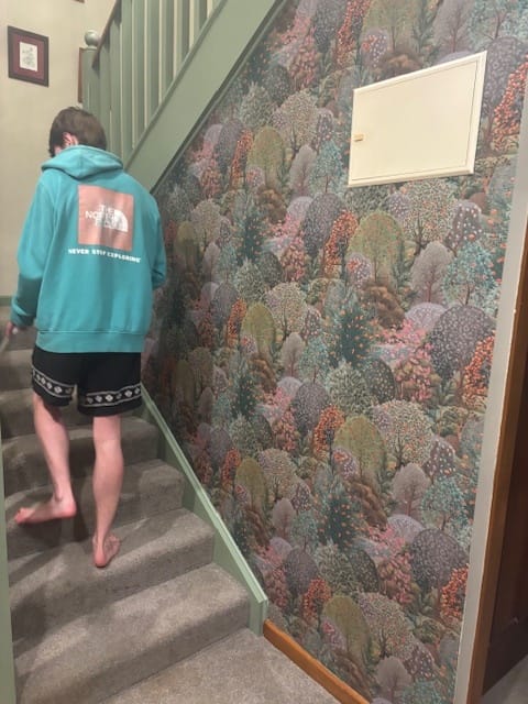 Customer photo review of Arboretum Garden Wallpaper - Green