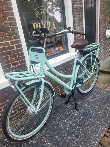 Customer photo review of E-Cargo N3