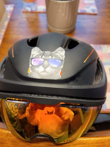 Customer photo review of Cat Sunglasses Sticker