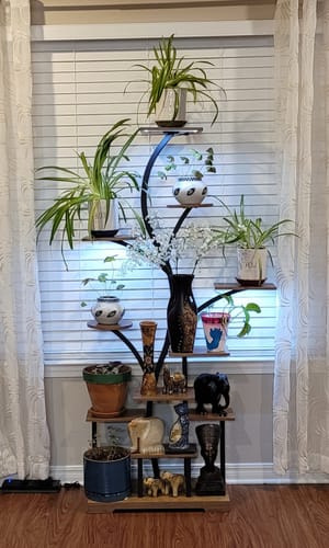 Customer photo review of 63" Indoor Plant Stand with Grow Lights