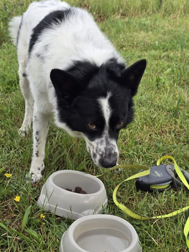 Customer photo review of Lucky Belly