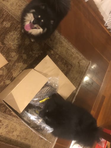 Customer photo review of Australian Roo Ribs