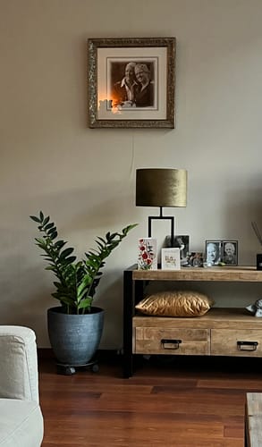 Customer photo review of Zamioculcas Kunstplant 90cm