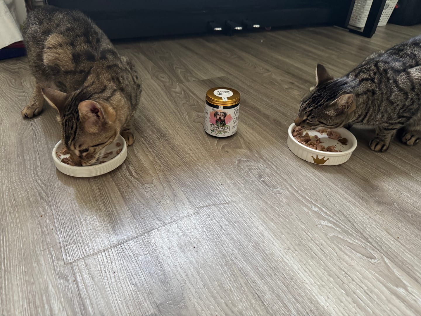 Customer photo review of PeppiPaste - Katzenpower