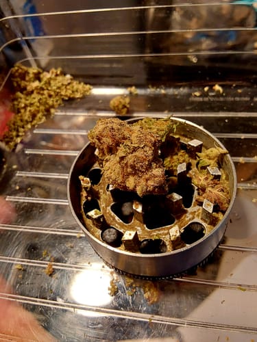 Customer photo review of Frosted Donuts Exotic THCA Flower