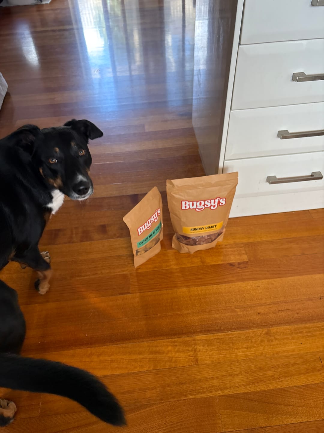 Customer photo review of Catch Me If You Can | Beef & Turmeric