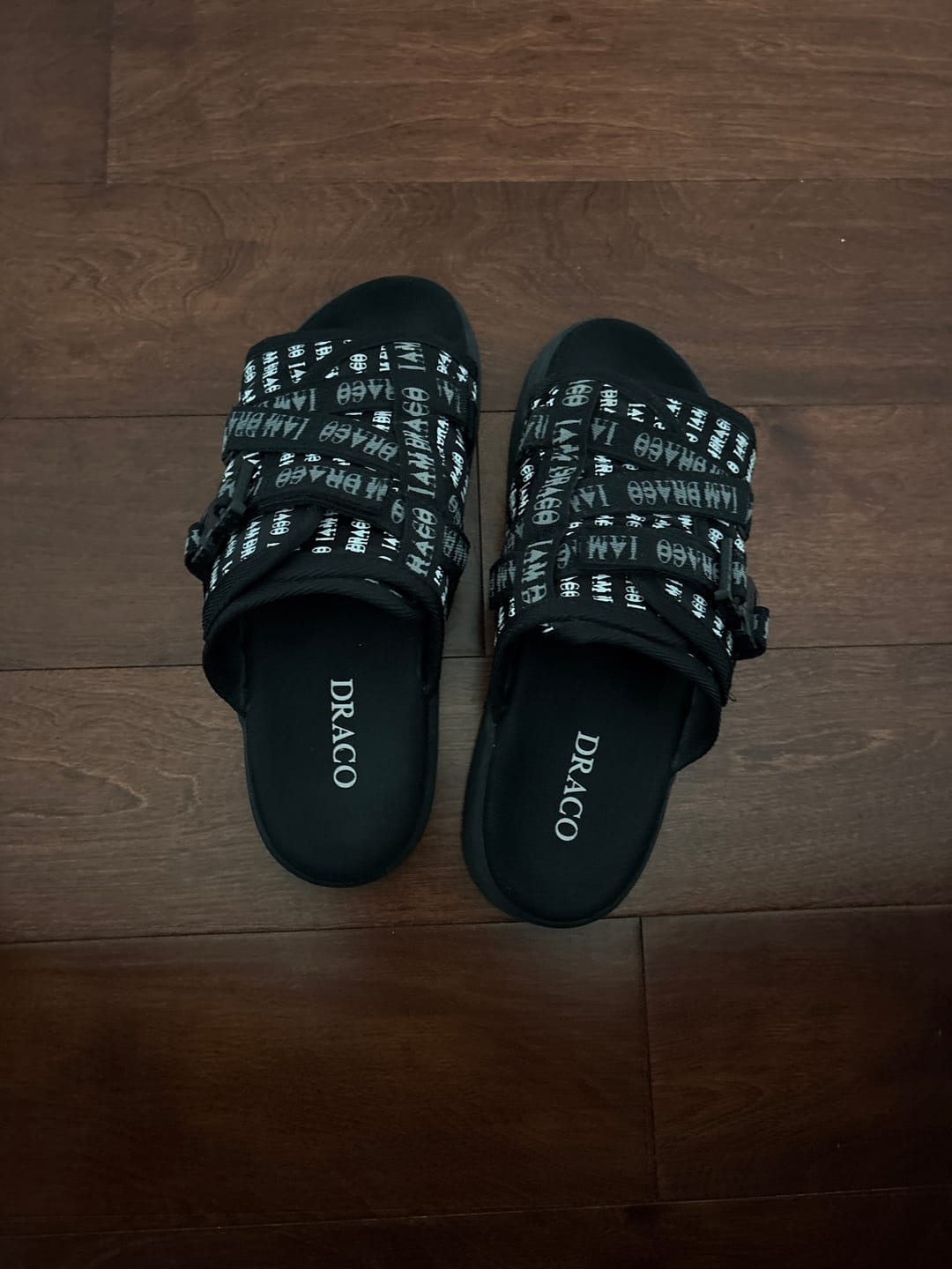 Customer photo review of 'I AM DRACO' SLIDES