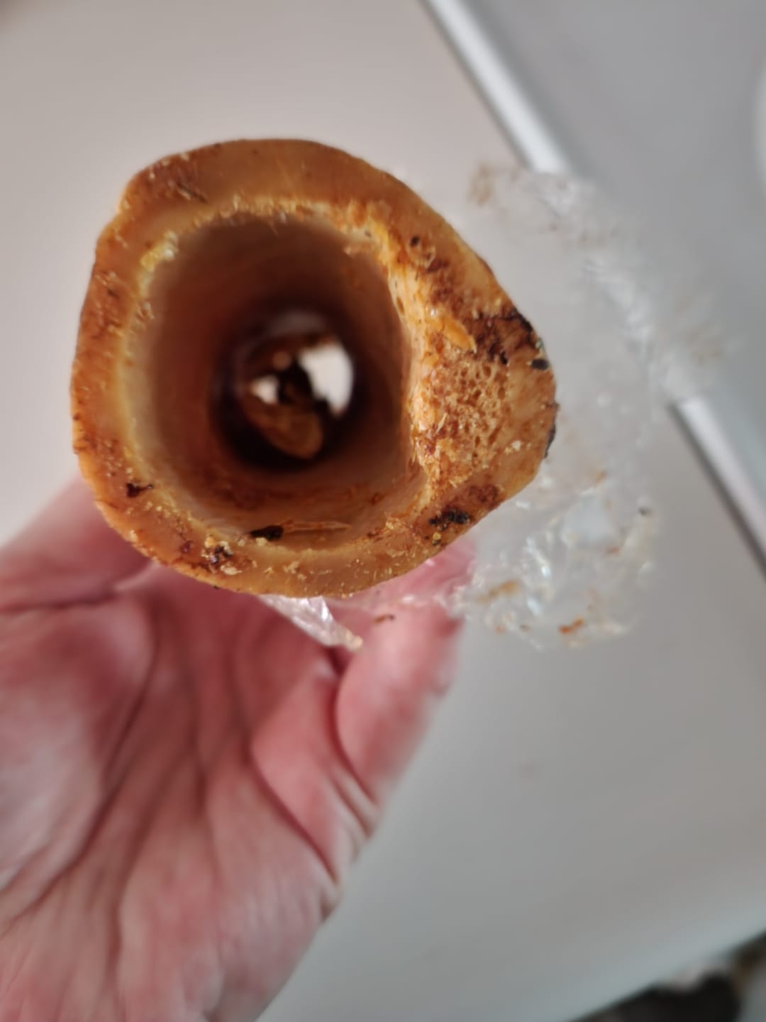 Customer photo review of 5-6 Inch Marrow Bone