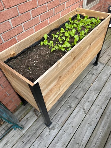 Customer photo review of Platform Feet