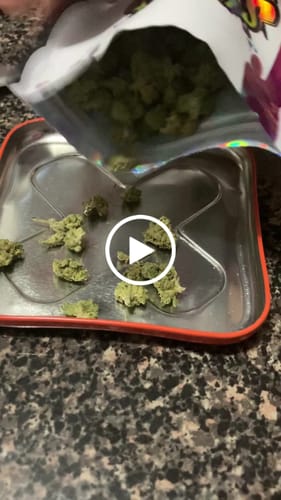 Customer video review of Greenhouse Smalls
