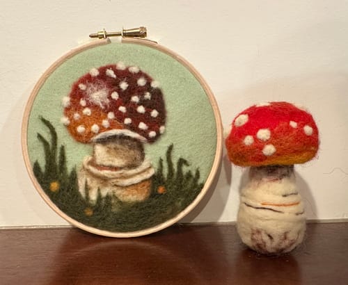 Customer photo review of Sophie Wheatley's Felted Fungi Supplies Box