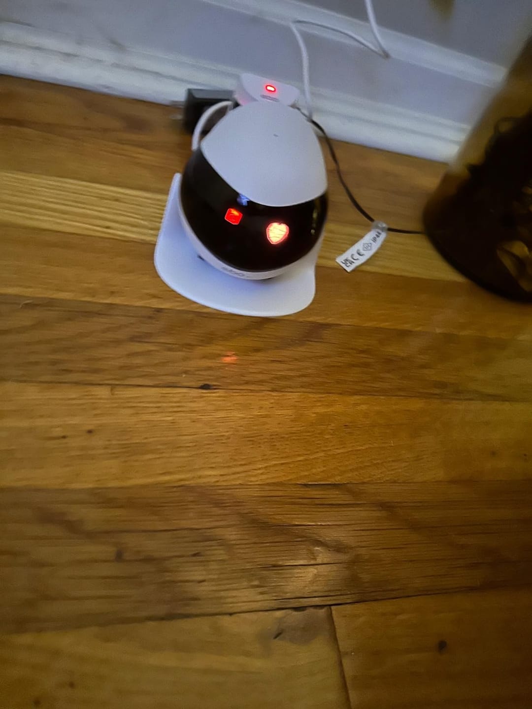 Customer photo review of Blinky Bot™ Expert