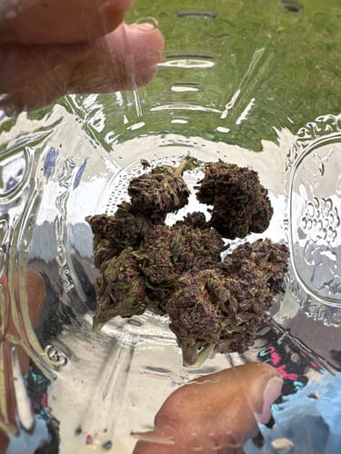 Customer photo review of Granddaddy Purple - 14 Grams (Indica)