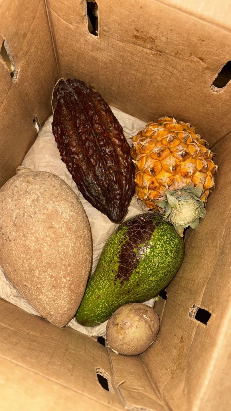 Customer photo review of Variety Box