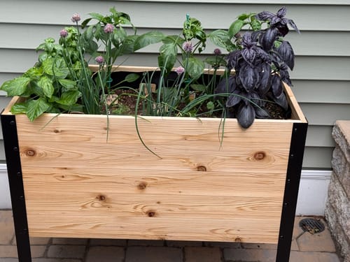 Customer photo review of 18" x 36" Raised Garden Bed - 30" TALL