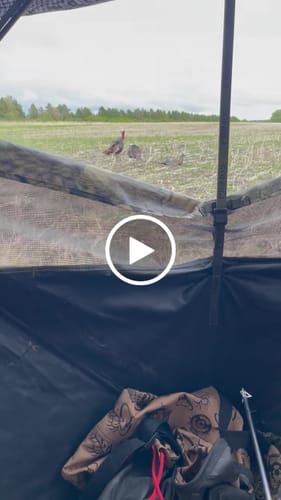 Customer video review of Turkey Decapper System