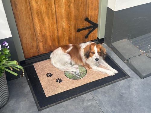 Customer photo review of Eigen foto - Gepersonaliseerde huisdier deurmat