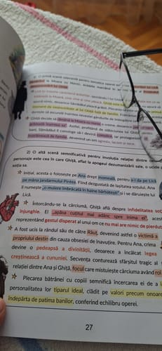 Recenzie cu fotografie de la un client despre Carte Română Bacalaureat Bacademia (temă și viziune, caracterizare, relație) - Ediția II
