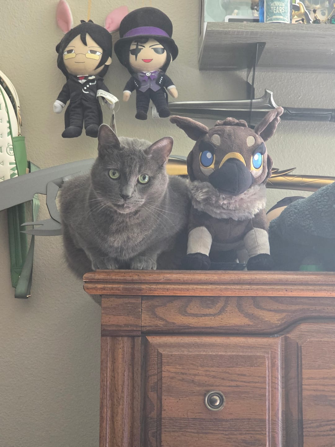 Customer photo review of Dragon Age: The Veilguard - Assan Collector's Plush