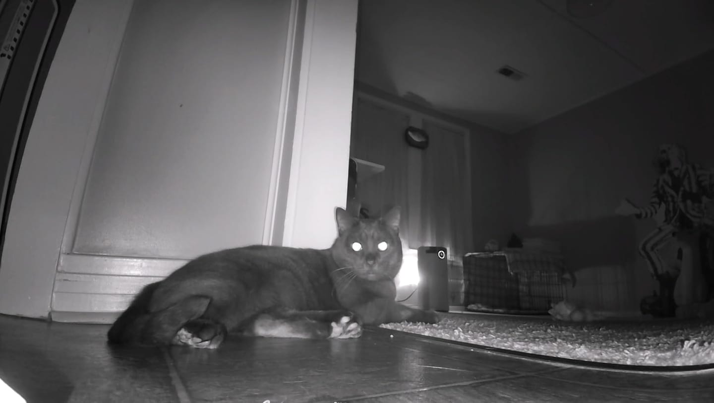 Customer photo review of Blinky Bot™ Expert