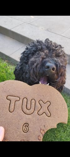 undefined review of Mega koek voor de verjaardag van jouw hond image 1 out of 1