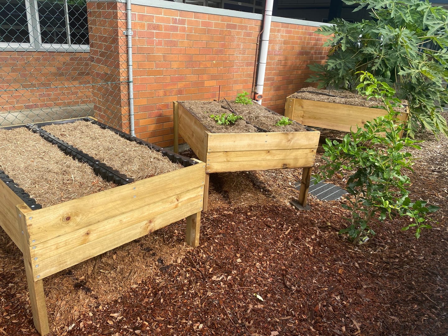 Customer photo review of Wide Raised Garden Bed Kit - 80cm high
