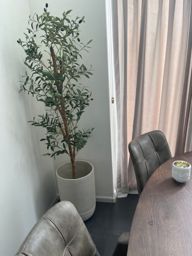 Customer photo review of Kunst Olijfboom 170cm
